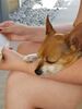 Filename=20170614_001.jpg
Filesize=350KiB
Dimensions=1536x2048
Date added=Dec 23, 2018 20170614_001.jpg