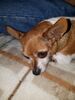 Filename=20170623_002.jpg
Filesize=613KiB
Dimensions=1536x2048
Date added=Dec 23, 2018 20170623_002.jpg