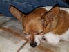 Filename=20170623_003.jpg
Filesize=670KiB
Dimensions=2048x1536
Date added=Dec 23, 2018 20170623_003.jpg