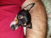 Filename=20170623_004.jpg
Filesize=713KiB
Dimensions=2048x1536
Date added=Dec 23, 2018 20170623_004.jpg