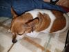 Filename=20170623_005.jpg
Filesize=633KiB
Dimensions=2048x1536
Date added=Dec 23, 2018 20170623_005.jpg