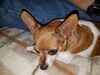 Filename=20170623_006.jpg
Filesize=568KiB
Dimensions=2048x1536
Date added=Dec 23, 2018 20170623_006.jpg