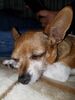Filename=20170623_007.jpg
Filesize=526KiB
Dimensions=1536x2048
Date added=Dec 23, 2018 20170623_007.jpg