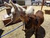 Filename=20170624_004.jpg
Filesize=853KiB
Dimensions=2048x1536
Date added=Dec 23, 2018 20170624_004.jpg
