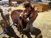 Filename=20170624_009.jpg
Filesize=841KiB
Dimensions=2048x1536
Date added=Dec 23, 2018 20170624_009.jpg