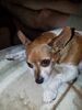 Filename=20170625_002.jpg
Filesize=545KiB
Dimensions=1536x2048
Date added=Dec 23, 2018 20170625_002.jpg