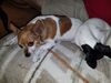 Filename=20170625_003.jpg
Filesize=604KiB
Dimensions=2048x1536
Date added=Dec 23, 2018 20170625_003.jpg