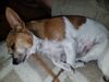 Filename=20170625_004.jpg
Filesize=604KiB
Dimensions=2048x1536
Date added=Dec 23, 2018 20170625_004.jpg
