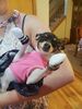 Filename=20170629_055.jpg
Filesize=367KiB
Dimensions=1536x2048
Date added=Dec 23, 2018 20170629_055.jpg