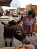 Filename=20170703_001.jpg
Filesize=522KiB
Dimensions=1536x2048
Date added=Dec 23, 2018 20170703_001.jpg