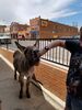 Filename=20170703_005.jpg
Filesize=550KiB
Dimensions=1536x2048
Date added=Dec 23, 2018 20170703_005.jpg