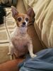 Filename=20170704_001.jpg
Filesize=473KiB
Dimensions=1536x2048
Date added=Dec 23, 2018 20170704_001.jpg