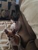 Filename=20170704_003.jpg
Filesize=385KiB
Dimensions=1536x2048
Date added=Dec 23, 2018 20170704_003.jpg