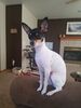 Filename=20170707_001.jpg
Filesize=343KiB
Dimensions=1536x2048
Date added=Dec 23, 2018 20170707_001.jpg