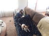 Filename=20170710_003.jpg
Filesize=304KiB
Dimensions=2048x1536
Date added=Dec 23, 2018 20170710_003.jpg