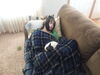 Filename=20170710_004.jpg
Filesize=428KiB
Dimensions=2048x1536
Date added=Dec 23, 2018 20170710_004.jpg