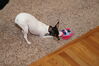Filename=20170712_020.jpg
Filesize=626KiB
Dimensions=2047x1360
Date added=Dec 23, 2018 20170712_020.jpg