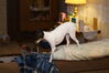 Filename=20170712_034.jpg
Filesize=273KiB
Dimensions=2047x1360
Date added=Dec 23, 2018 20170712_034.jpg