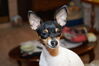 Filename=20170712_035.jpg
Filesize=228KiB
Dimensions=2047x1360
Date added=Dec 23, 2018 20170712_035.jpg