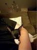 Filename=20170712_063.jpg
Filesize=238KiB
Dimensions=1536x2048
Date added=Dec 23, 2018 20170712_063.jpg
