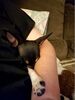 Filename=20170712_064.jpg
Filesize=253KiB
Dimensions=1536x2048
Date added=Dec 23, 2018 20170712_064.jpg