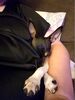 Filename=20170712_065.jpg
Filesize=250KiB
Dimensions=1536x2048
Date added=Dec 23, 2018 20170712_065.jpg