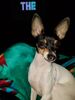 Filename=20170713_001.jpg
Filesize=296KiB
Dimensions=1536x2048
Date added=Dec 23, 2018 20170713_001.jpg
