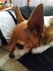 Filename=20170716_002.jpg
Filesize=410KiB
Dimensions=1536x2048
Date added=Dec 23, 2018 20170716_002.jpg