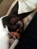 Filename=20170716_003.jpg
Filesize=267KiB
Dimensions=1536x2048
Date added=Dec 23, 2018 20170716_003.jpg