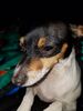Filename=20170718_002.jpg
Filesize=431KiB
Dimensions=1536x2048
Date added=Dec 23, 2018 20170718_002.jpg
