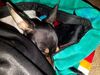 Filename=20170718_004.jpg
Filesize=693KiB
Dimensions=2048x1536
Date added=Dec 23, 2018 20170718_004.jpg