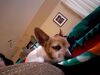 Filename=20170718_005.jpg
Filesize=248KiB
Dimensions=2048x1536
Date added=Dec 23, 2018 20170718_005.jpg