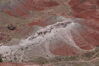 Filename=20170724_058.jpg
Filesize=611KiB
Dimensions=2047x1360
Date added=Dec 23, 2018 20170724_058.jpg