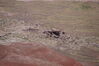 Filename=20170724_061.jpg
Filesize=546KiB
Dimensions=2047x1360
Date added=Dec 23, 2018 20170724_061.jpg