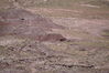 Filename=20170724_062.jpg
Filesize=569KiB
Dimensions=2047x1360
Date added=Dec 23, 2018 20170724_062.jpg