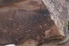 Filename=20170724_145.jpg
Filesize=503KiB
Dimensions=2047x1360
Date added=Dec 23, 2018 20170724_145.jpg
