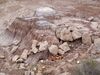 Filename=20170724_201.jpg
Filesize=937KiB
Dimensions=2048x1536
Date added=Dec 23, 2018 20170724_201.jpg