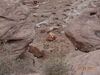 Filename=20170724_213.jpg
Filesize=815KiB
Dimensions=2048x1536
Date added=Dec 23, 2018 20170724_213.jpg