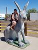 Filename=20170726_003.jpg
Filesize=586KiB
Dimensions=1536x2048
Date added=Dec 23, 2018 20170726_003.jpg