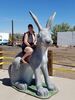 Filename=20170726_004.jpg
Filesize=580KiB
Dimensions=1536x2048
Date added=Dec 23, 2018 20170726_004.jpg