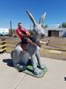 Filename=20170726_005.jpg
Filesize=539KiB
Dimensions=1536x2048
Date added=Dec 23, 2018 20170726_005.jpg