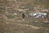 Filename=20170726_020.jpg
Filesize=646KiB
Dimensions=2047x1360
Date added=Dec 23, 2018 20170726_020.jpg
