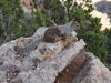 Filename=20170727_023.jpg
Filesize=778KiB
Dimensions=2048x1536
Date added=Dec 23, 2018 20170727_023.jpg