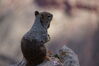 Filename=20170727_026.jpg
Filesize=254KiB
Dimensions=2047x1360
Date added=Dec 23, 2018 20170727_026.jpg