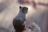 Filename=20170727_027.jpg
Filesize=274KiB
Dimensions=2047x1360
Date added=Dec 23, 2018 20170727_027.jpg