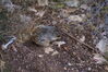 Filename=20170727_035.jpg
Filesize=727KiB
Dimensions=2047x1360
Date added=Dec 23, 2018 20170727_035.jpg