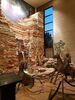 Filename=20170727_099.jpg
Filesize=736KiB
Dimensions=1536x2048
Date added=Dec 23, 2018 20170727_099.jpg