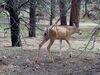 Filename=20170728_174.jpg
Filesize=742KiB
Dimensions=2048x1536
Date added=Dec 23, 2018 20170728_174.jpg