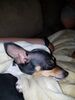 Filename=20170830_001.jpg
Filesize=421KiB
Dimensions=1536x2048
Date added=Dec 24, 2018 20170830_001.jpg