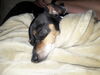 Filename=20170830_003.jpg
Filesize=358KiB
Dimensions=2048x1536
Date added=Dec 24, 2018 20170830_003.jpg